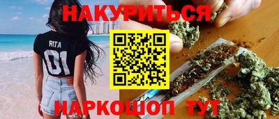 мдпв Кингисепп