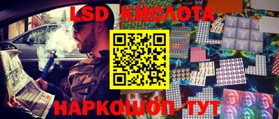мдпв Кингисепп