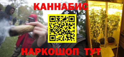 мдпв Кингисепп