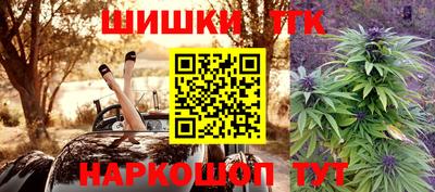 мдпв Кингисепп