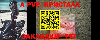 мдпв Кингисепп