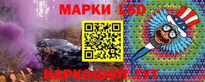 мдпв Кингисепп