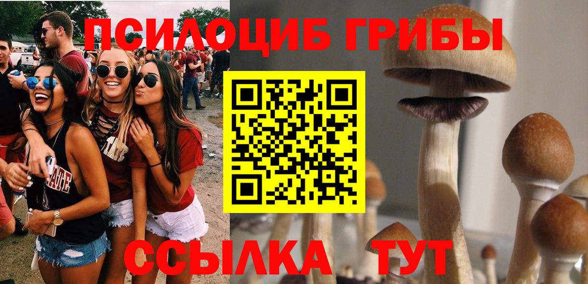 Галлюциногенные грибы ЛСД Кировск