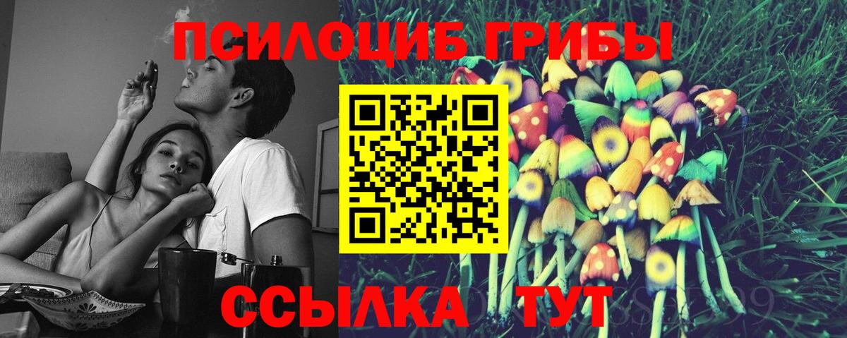 Кировск  Псилоцибиновые грибы MAGIC MUSHROOMS  Вход с VPN 